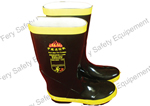 Common protective boots